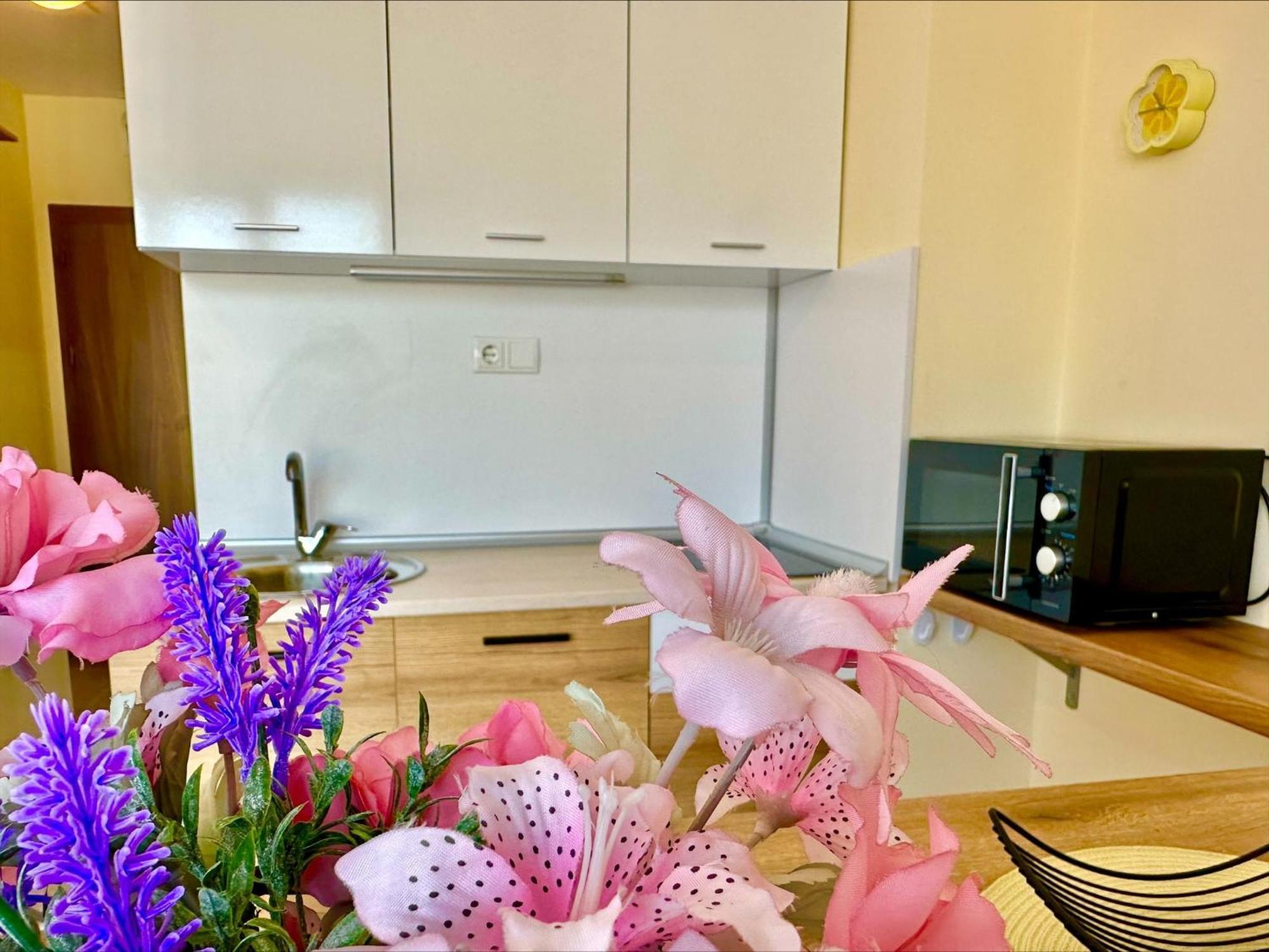Ipanema Beach - Menada Apartments Sveti Vlas Δωμάτιο φωτογραφία